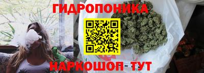 бошки Донецк