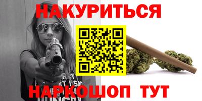 спайс Кингисепп