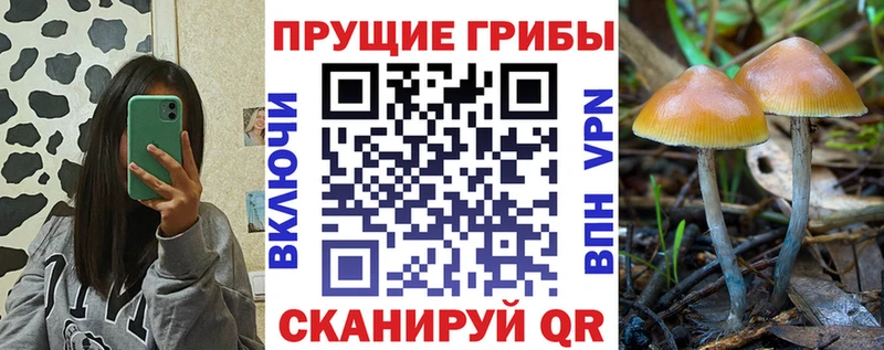 Галлюциногенные грибы мухоморы  наркота  Советск 