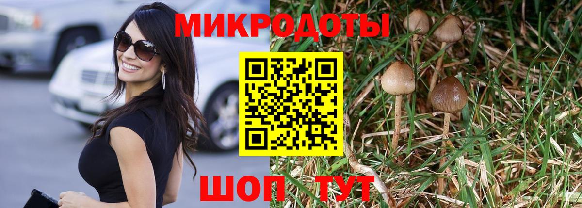 Галлюциногенные грибы Magic Shrooms Советск
